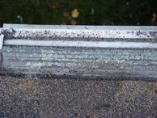 Mastershield Gutter Protection