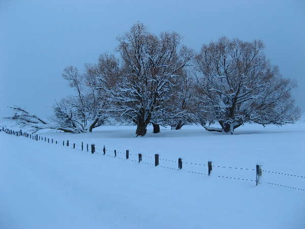 A winter scene near New Meadows Idaho.