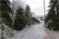 My dad died on his birthday and the night of his funeral this storm began. I was able to save most of the trees on the left but lost many beautiful and valuable (to me) others.