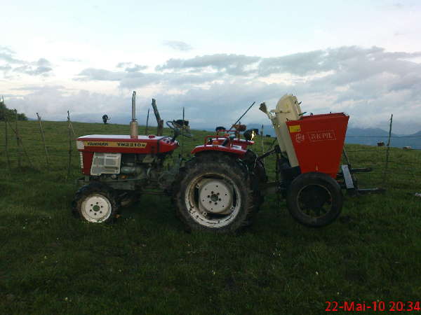 my cows and my Yanmar