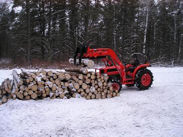 Log pile from spruce thinning