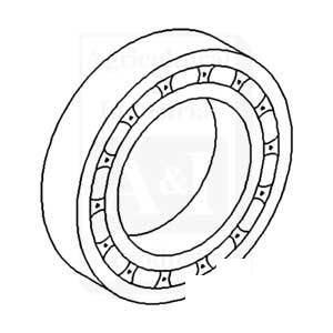A-191250M1 BEARING ROLLER           